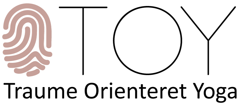TOY-Logo